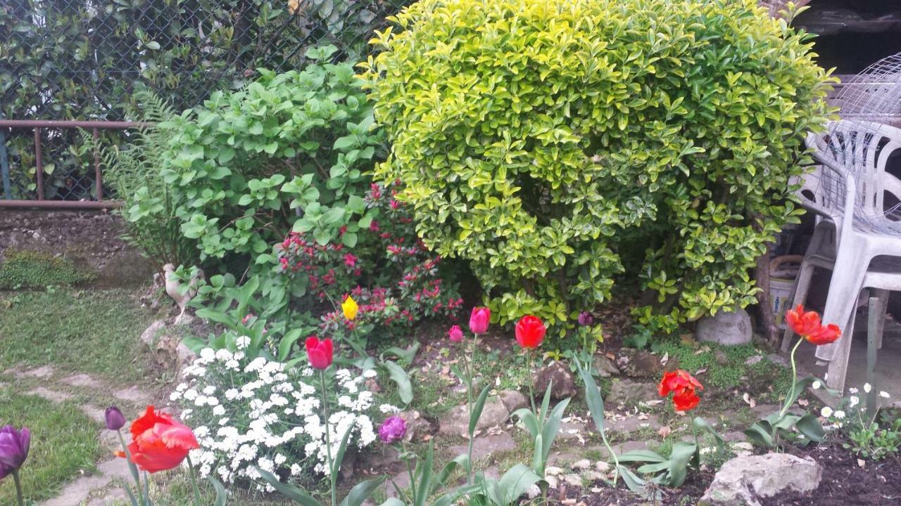 B&B Il Patio Bergamo Bagian luar foto